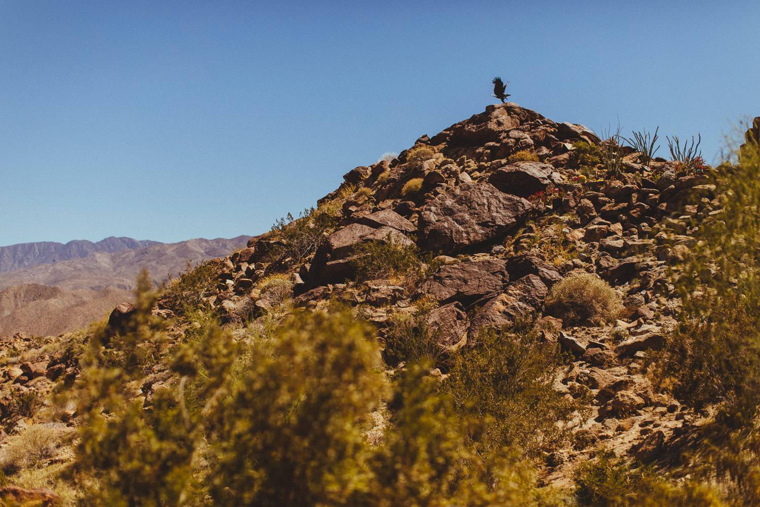 stone eagle golf club